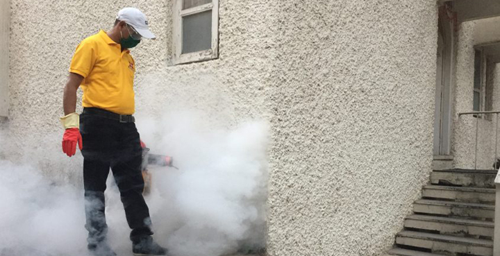 >Mosquito Pest Control