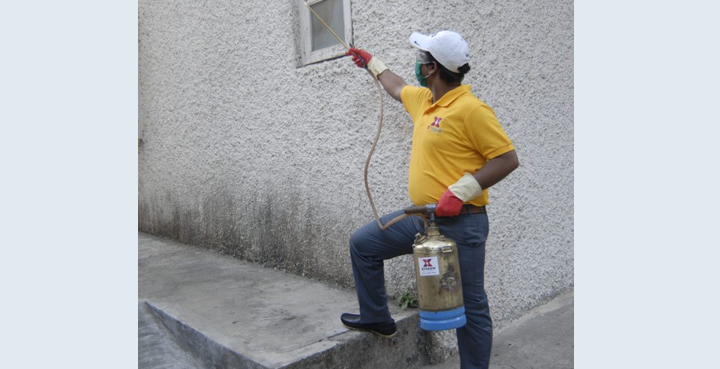 >Mosquito Pest Control