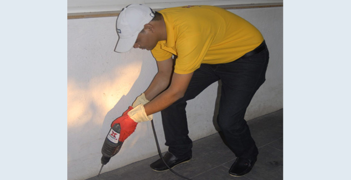 Termite Pest Control