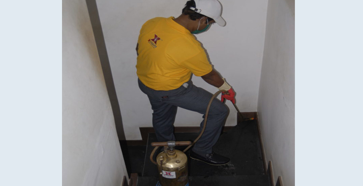 Termite Pest Control